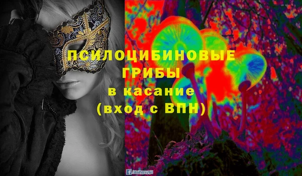 PSILOCYBIN Белокуриха